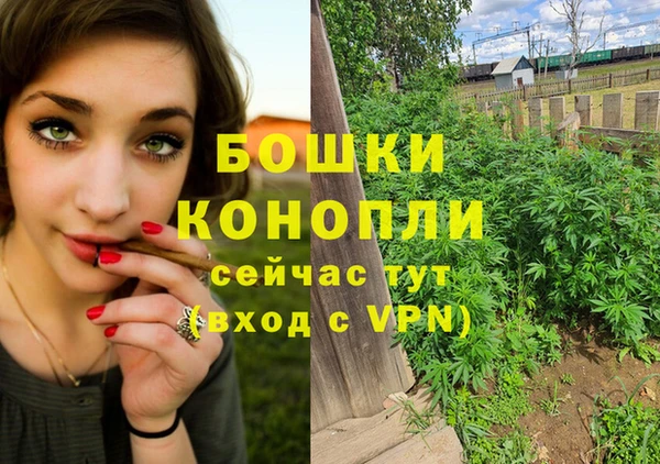 шишки Баксан