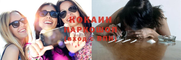 шишки Баксан