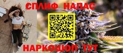 крисы Аша