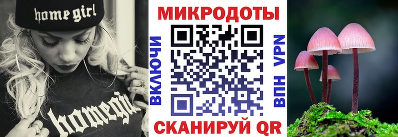 гидра Бузулук Псилоцибиновые грибы GOLDEN TEACHER