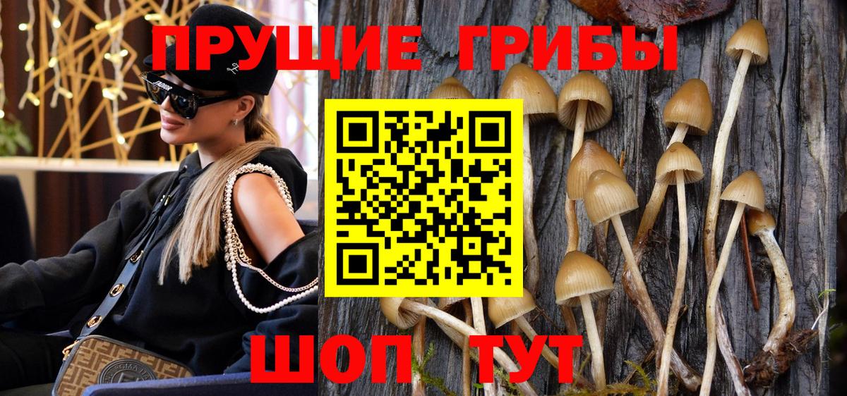 Псилоцибиновые грибы мухоморы  Вход с VPN  Бузулук 