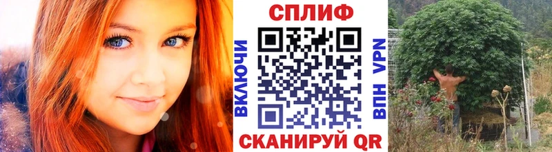 продажа наркотиков Бузулук Канабис Amnesia